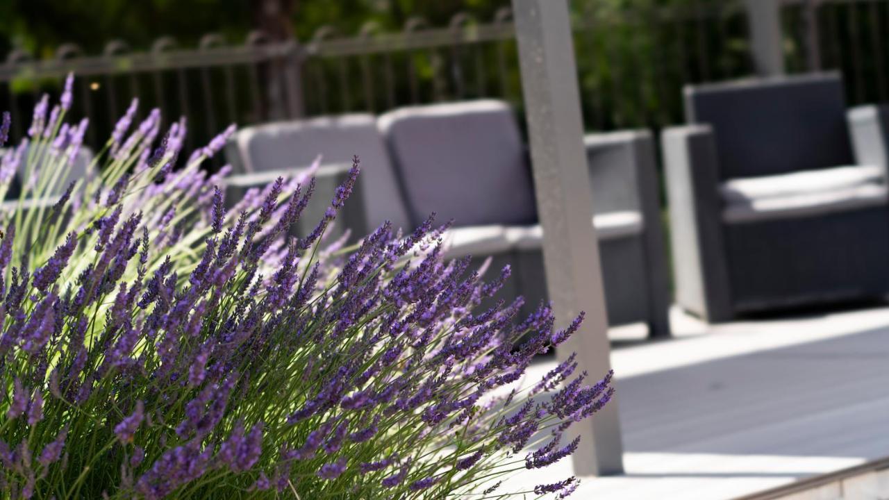 Logis Restaurant Les Oliviers Hotel Loriol-sur-Drome