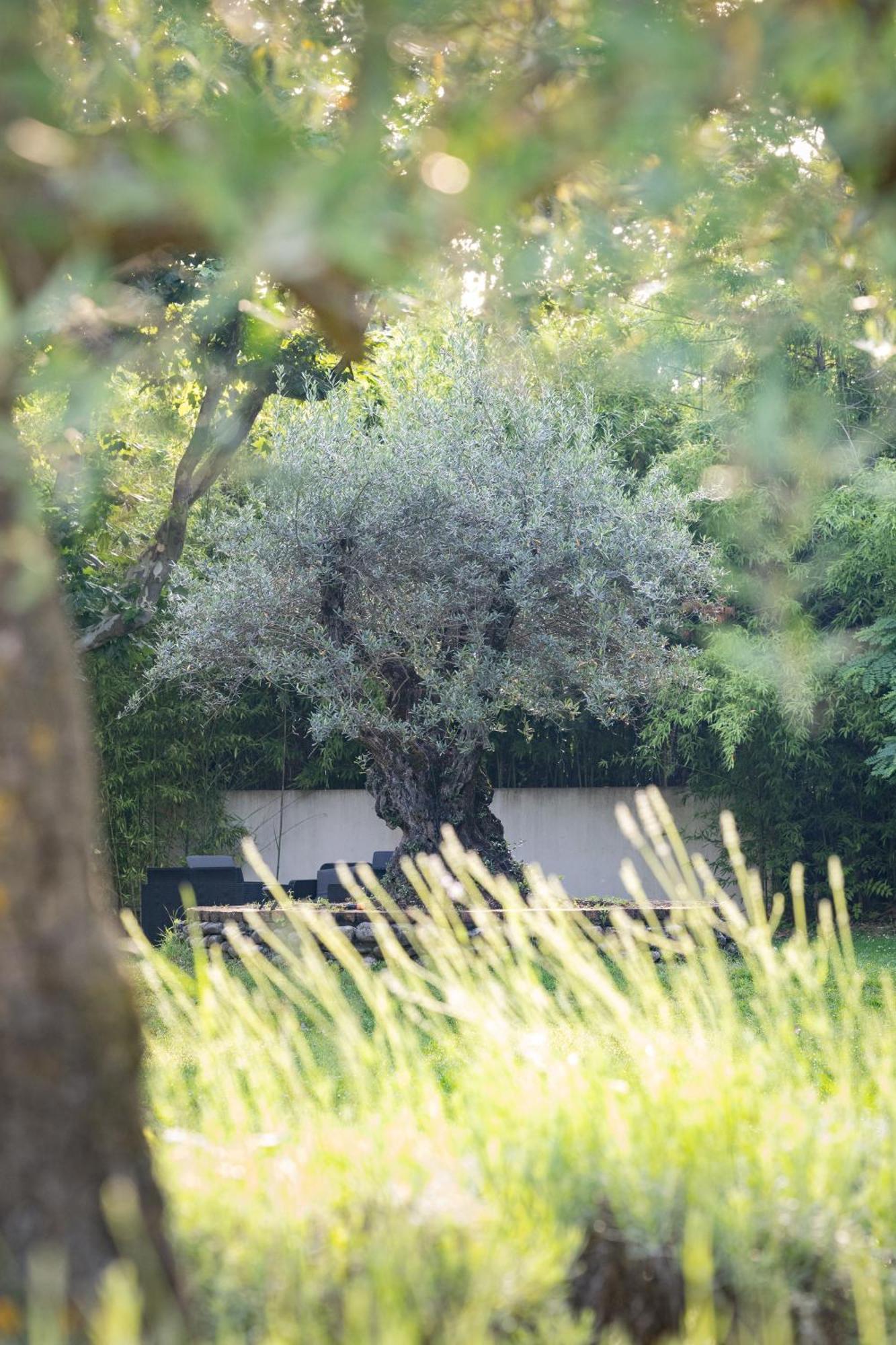 Hotel Logis Restaurant Les Oliviers